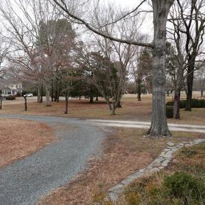 Photo #36 of 7337 BAYSIDE RD, FRANKTOWN, VA 9.5 acres