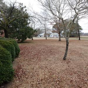 Photo #39 of 7337 BAYSIDE RD, FRANKTOWN, VA 9.5 acres