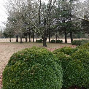 Photo #40 of 7337 BAYSIDE RD, FRANKTOWN, VA 9.5 acres