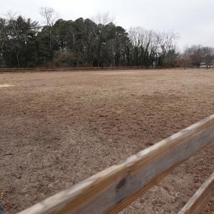 Photo #54 of 7337 BAYSIDE RD, FRANKTOWN, VA 9.5 acres