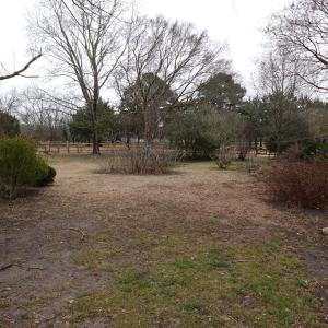 Photo #61 of 7337 BAYSIDE RD, FRANKTOWN, VA 9.5 acres