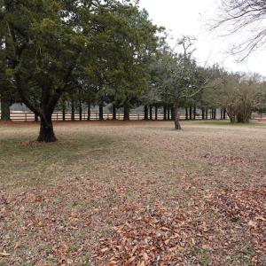 Photo #68 of 7337 BAYSIDE RD, FRANKTOWN, VA 9.5 acres