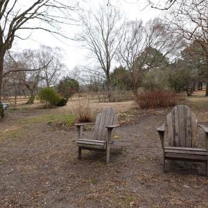 Photo #59 of 7337 BAYSIDE RD, FRANKTOWN, VA 9.5 acres
