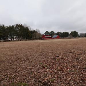 Photo #74 of 7337 BAYSIDE RD, FRANKTOWN, VA 9.5 acres