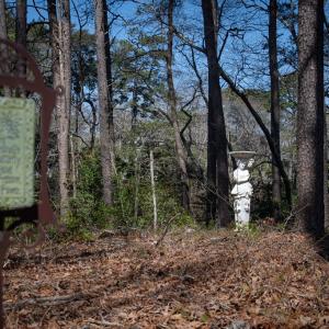 Photo #19 of 4460 MASDEN GUT LANE, MACHIPONGO, VA 6.2 acres