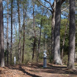 Photo #20 of 4460 MASDEN GUT LANE, MACHIPONGO, VA 6.2 acres