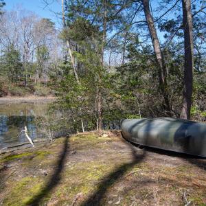 Photo #21 of 4460 MASDEN GUT LANE, MACHIPONGO, VA 6.2 acres