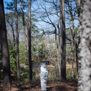 Photo #23 of 4460 MASDEN GUT LANE, MACHIPONGO, VA 6.2 acres