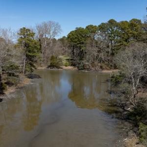 Photo #47 of 4460 MASDEN GUT LANE, MACHIPONGO, VA 6.2 acres