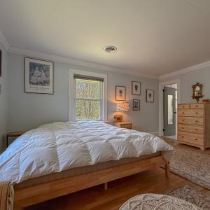 Photo #61 of 4460 MASDEN GUT LANE, MACHIPONGO, VA 6.2 acres