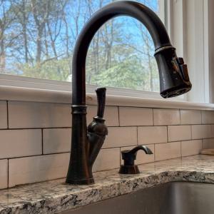 Photo #89 of 4460 MASDEN GUT LANE, MACHIPONGO, VA 6.2 acres