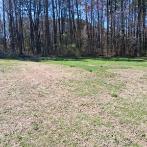 Photo #7 of 24008 BENNETT ST, PARKSLEY, VA 0.5 acres