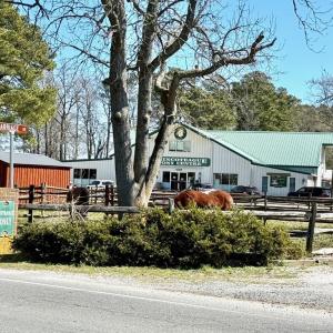 Photo #3 of 4409 CHICKEN CITY RD, CHINCOTEAGUE, VA 0.2 acres