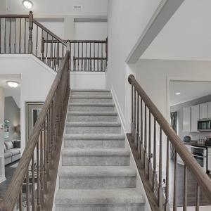 Photo #18 of Lot 880 BROADSIDE DR, GREENBACKVILLE, VA 65.0 acres