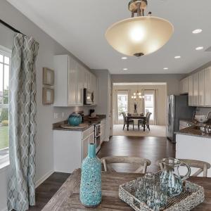 Photo #13 of Lot 880 BROADSIDE DR, GREENBACKVILLE, VA 65.0 acres