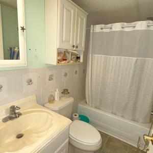 Photo #7 of 8200 SEA BREEZE DR, CHINCOTEAGUE, VA 50.0 acres