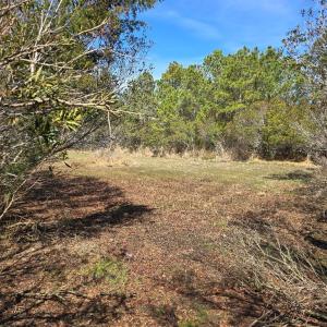 Photo #17 of 29496 Killmon Lane, HACKSNECK, VA 1.5 acres