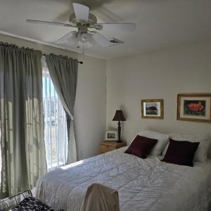 Photo #33 of 19006 NORTH DR, PARKSLEY, VA 3.1 acres