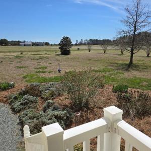 Photo #6 of 19006 NORTH DR, PARKSLEY, VA 3.1 acres