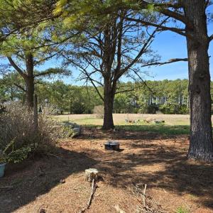 Photo #7 of 19006 NORTH DR, PARKSLEY, VA 3.1 acres