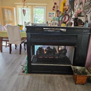 Photo #5 of 19006 NORTH DR, PARKSLEY, VA 3.1 acres