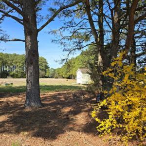 Photo #12 of 19006 NORTH DR, PARKSLEY, VA 3.1 acres