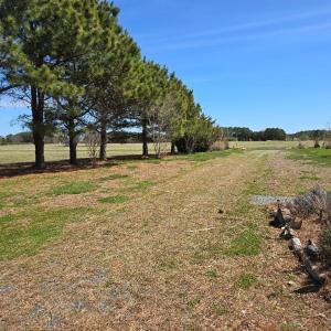Photo #15 of 19006 NORTH DR, PARKSLEY, VA 3.1 acres