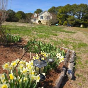 Photo #38 of 19006 NORTH DR, PARKSLEY, VA 3.1 acres