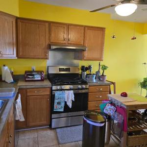 Photo #7 of 19006 NORTH DR, PARKSLEY, VA 3.1 acres