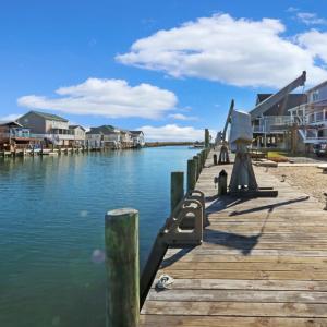 Photo #3 of 37493 BAYSIDE DR, GREENBACKVILLE, VA 0.2 acres