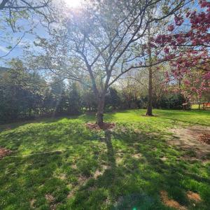 Photo #32 of 201 ARNIE'S LOOP, CAPE CHARLES, VA 0.4 acres