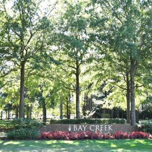 Photo #34 of 201 ARNIE'S LOOP, CAPE CHARLES, VA 0.4 acres