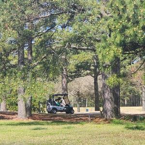 Photo #42 of 201 ARNIE'S LOOP, CAPE CHARLES, VA 0.4 acres