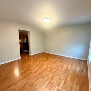 Photo #11 of 10156 PINEVIEW RD, ATLANTIC, VA 3.3 acres