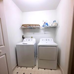 Photo #13 of 10156 PINEVIEW RD, ATLANTIC, VA 3.3 acres