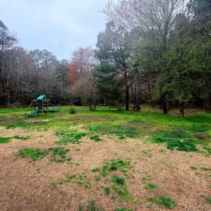 Photo #4 of 10156 PINEVIEW RD, ATLANTIC, VA 3.3 acres