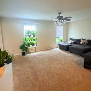 Photo #8 of 10156 PINEVIEW RD, ATLANTIC, VA 3.3 acres