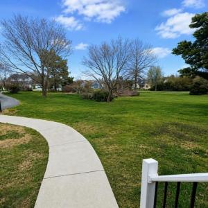 Photo #3 of 10156 PINEVIEW RD, ATLANTIC, VA 3.3 acres
