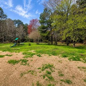 Photo #4 of 10156 PINEVIEW RD, ATLANTIC, VA 3.3 acres