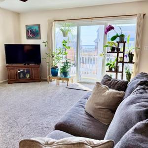 Photo #27 of 7516 DOE BAY LANE, CHINCOTEAGUE, VA 0.2 acres