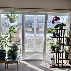 Photo #28 of 7516 DOE BAY LANE, CHINCOTEAGUE, VA 0.2 acres