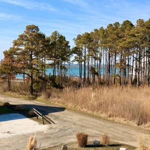 Photo #48 of 7516 DOE BAY LANE, CHINCOTEAGUE, VA 0.2 acres