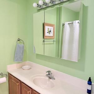 Photo #58 of 7516 DOE BAY LANE, CHINCOTEAGUE, VA 0.2 acres