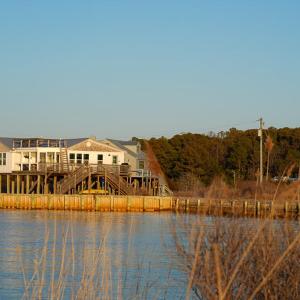 Photo #3 of 24227 THICKET POINT LANE, ONANCOCK, VA 45.0 acres