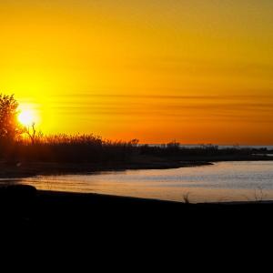 Photo #54 of 24227 THICKET POINT LANE, ONANCOCK, VA 45.0 acres