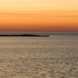 Photo #55 of 24227 THICKET POINT LANE, ONANCOCK, VA 45.0 acres