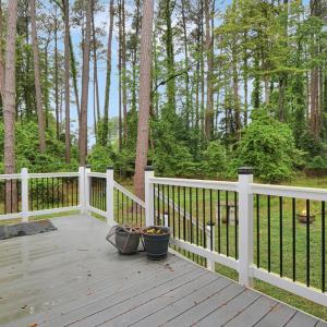 Photo #22 of 3054 DINGY CT, GREENBACKVILLE, VA 9,041.0 acres