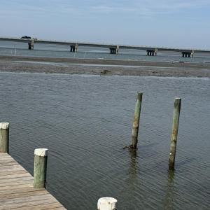 Photo #16 of 6206-2 MARSH ISLAND DR, CHINCOTEAGUE, VA