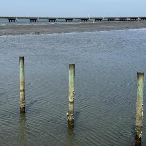 Photo #17 of 6206-2 MARSH ISLAND DR, CHINCOTEAGUE, VA