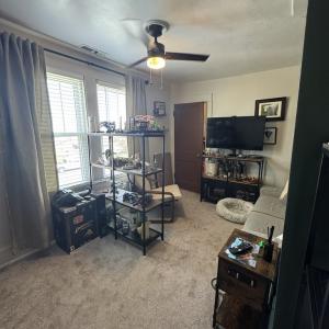 Photo #19 of 1481 ELLIS ST, GREENBACKVILLE, VA 0.6 acres